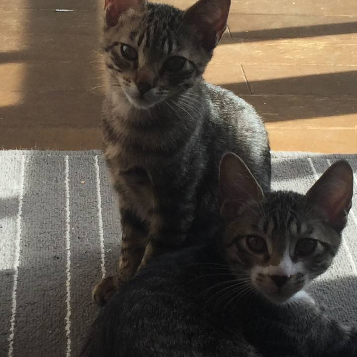 0fde19d2 d460 4a16 bad5 69016571e6fd