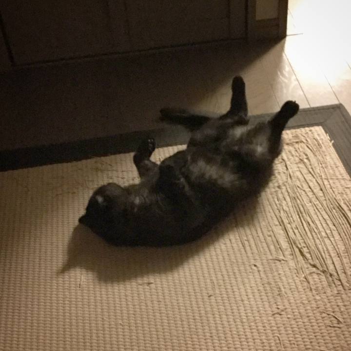 0fde3b68 5524 4d42 93fd d102b6e9f5d3