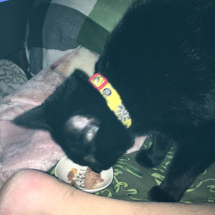 0fdf87b3 fb56 43dc a32e e28fb1cccaeb