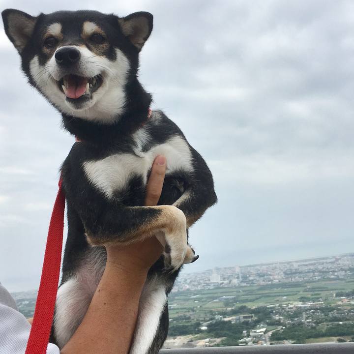 0fdfba73 da3c 407d b3b8 d62d71c7ce5d