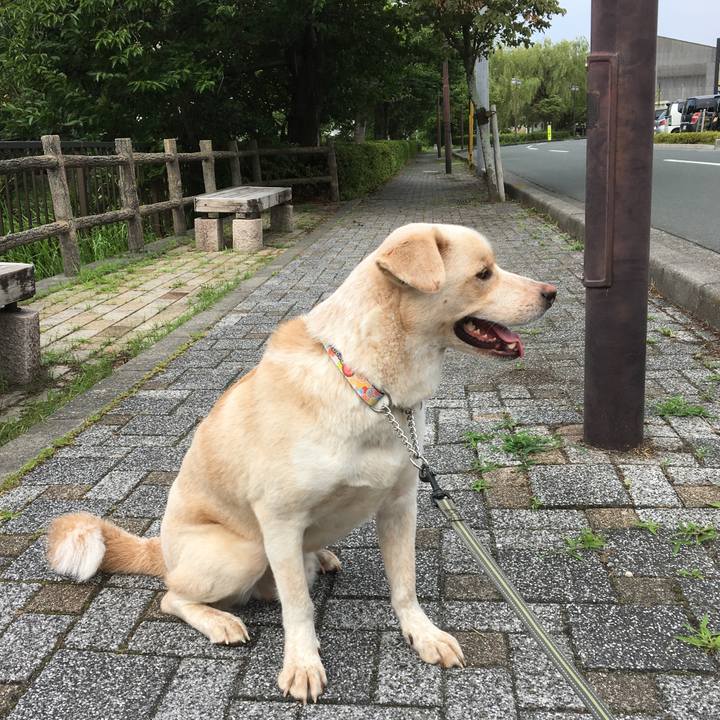 0fe017fa 48cd 45de 810d b44abed121be