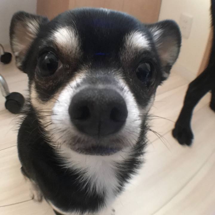 0fe0715b dc4a 4b2b 9d89 0dea54c3c1ba