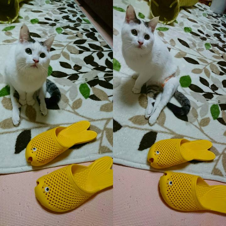 0fe0b455 1fb1 4d92 aedd eff57defba6f