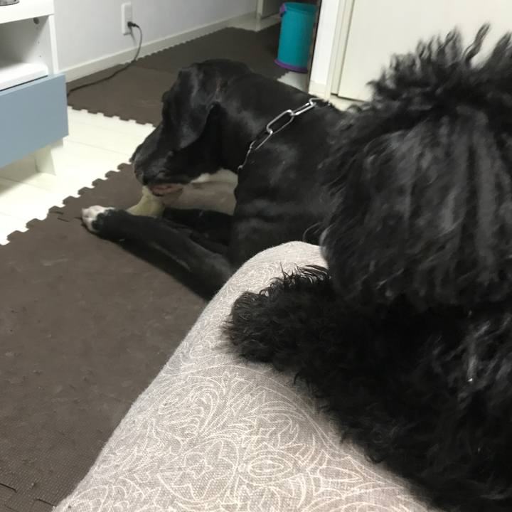 0fe12ad3 223c 485d 9e29 fa99add71f27