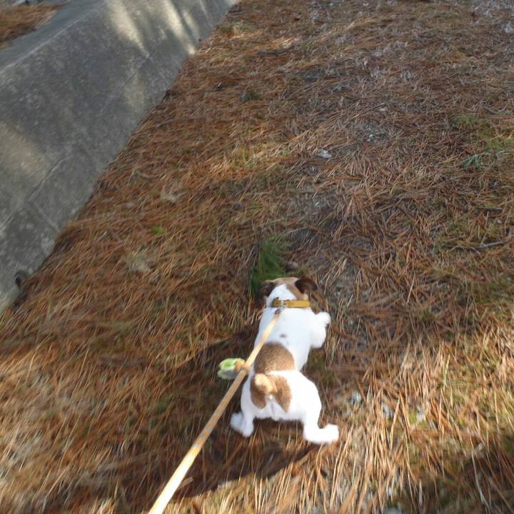 0fe1be2c 65d7 481b 87a9 591fd406b37b