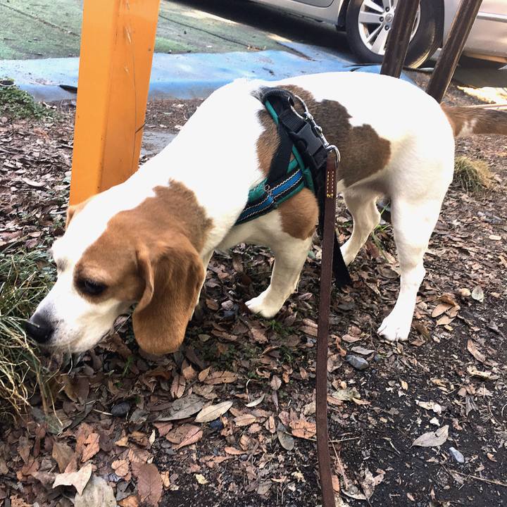 0fe1c403 7275 4c8e be96 7a98a408a70f