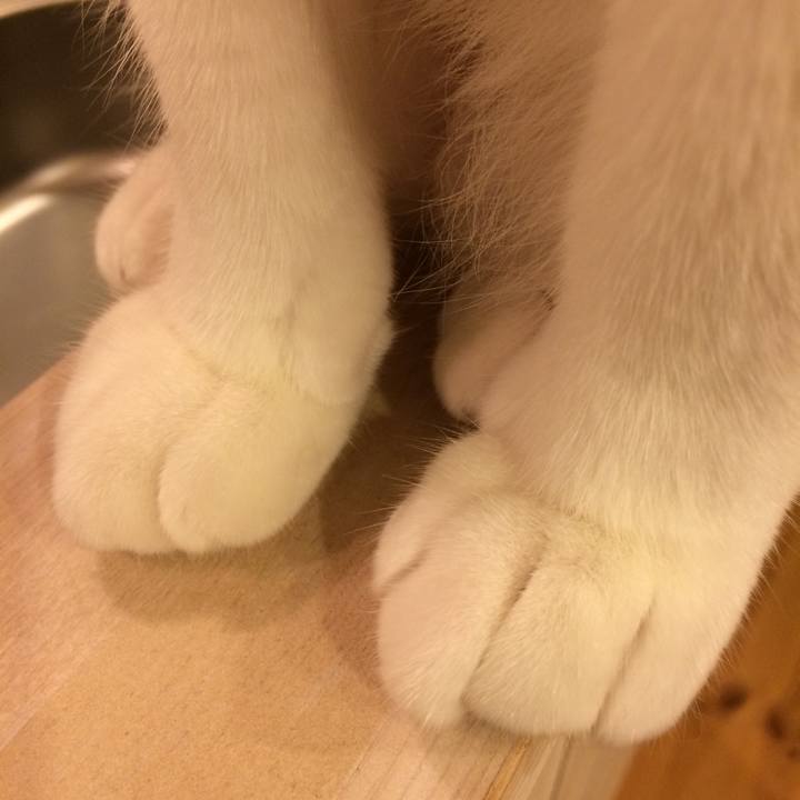 0fe2d80b 4163 43bf b2c3 c2589df331a3