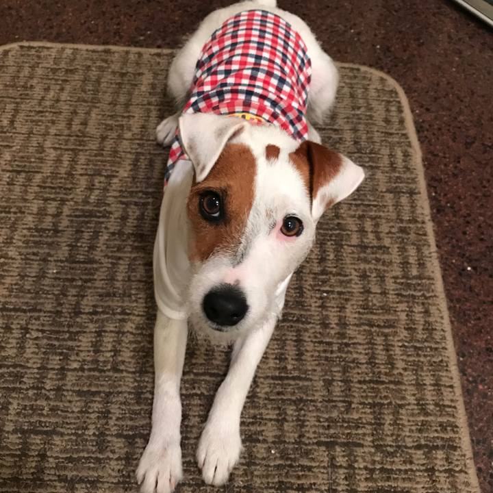 0fe31836 720e 465d bf43 085463181b8f