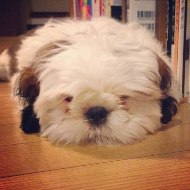 0fe33ef3 ff37 412e a8d8 ab1ca08cbd5c