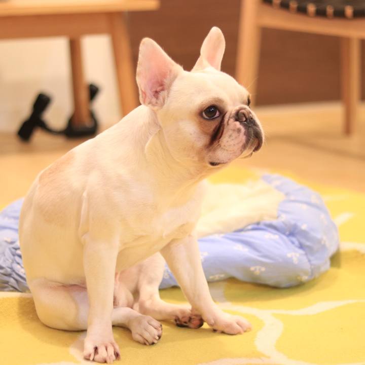 0fe38fc0 459c 40f7 8805 20b886181936