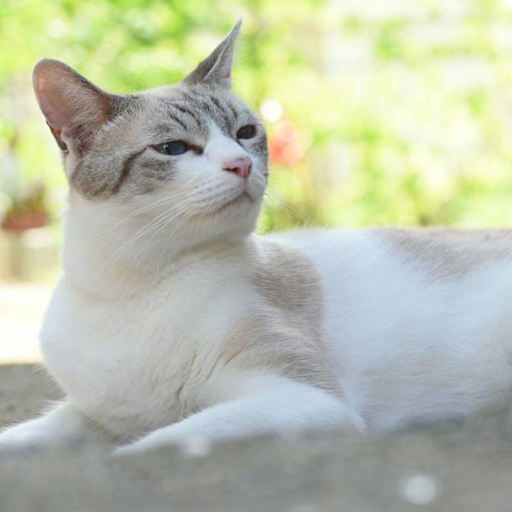 0fe392c8 74c4 479f 907b 3ac6577e7270