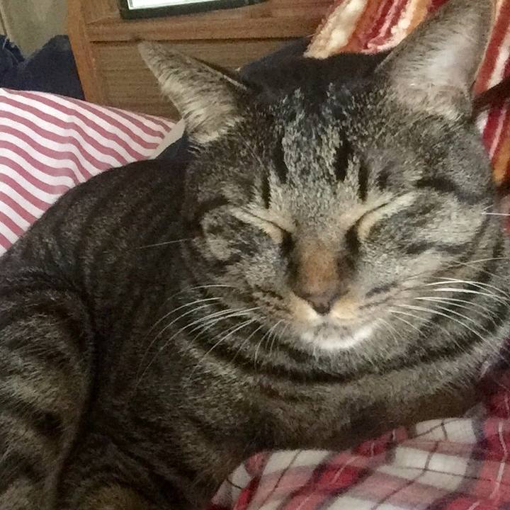 0fe3e013 f3b3 45a1 862b 0150b1fe812e