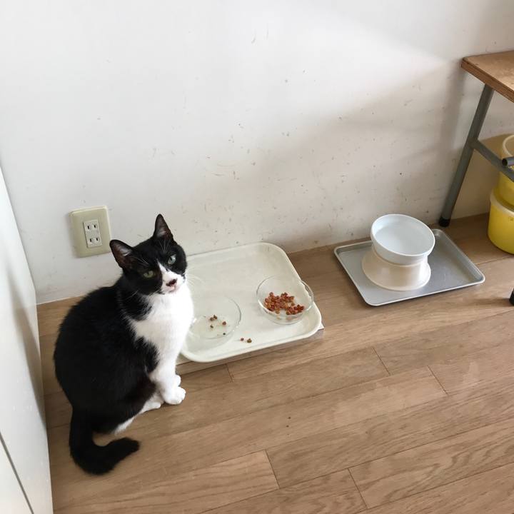 0fe44712 f9be 49f5 a2d8 c703c63f59ef