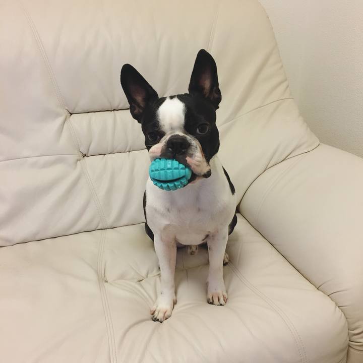 0fe449b1 eb31 4d70 a03e 31674b7a2fc5