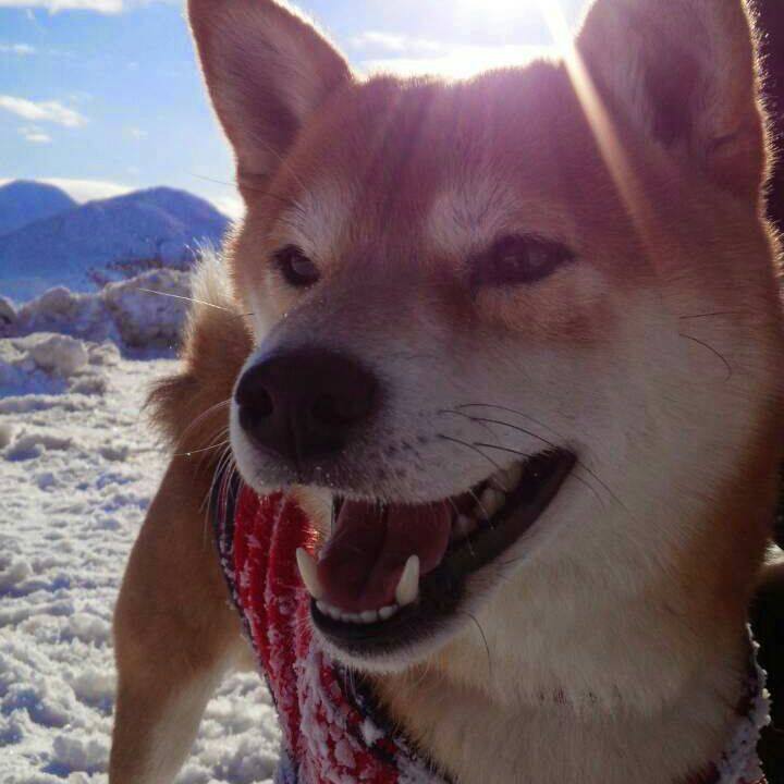 0fe47407 d7de 4674 af00 7a5186afc068