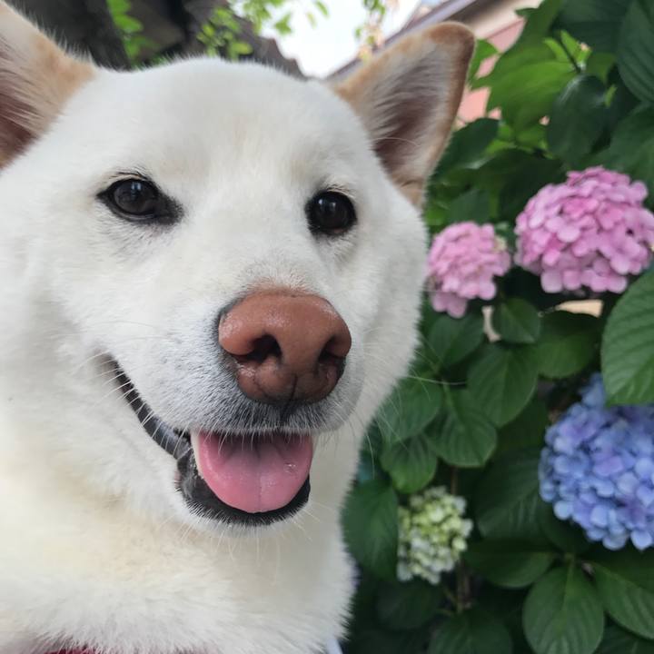 0fe4cb63 7427 40b2 b0ca 42f1eeae21db