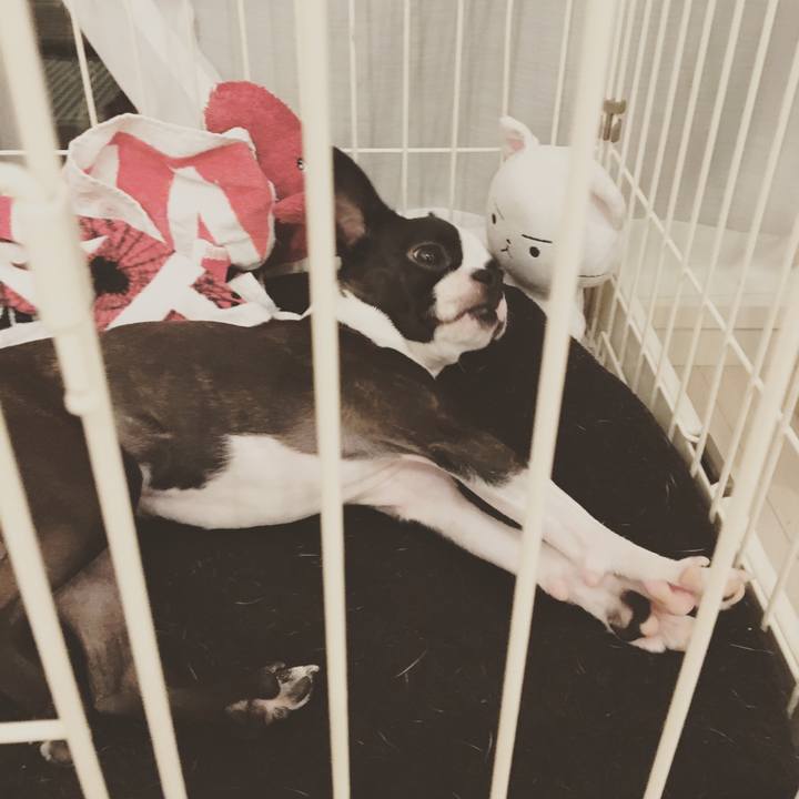 0fe5724b 645d 4376 807d 23afdb331c63