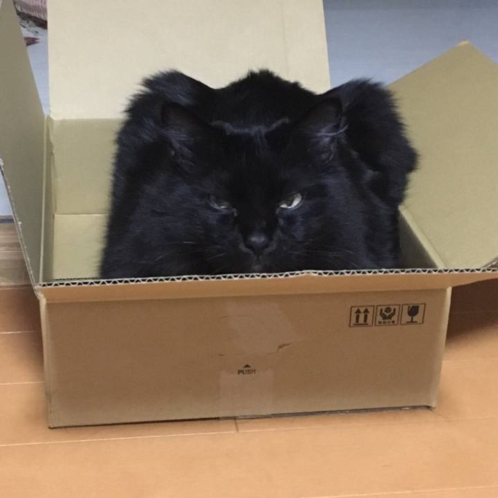 0fe58ac5 ce2d 43d1 87f4 ec31f676402c