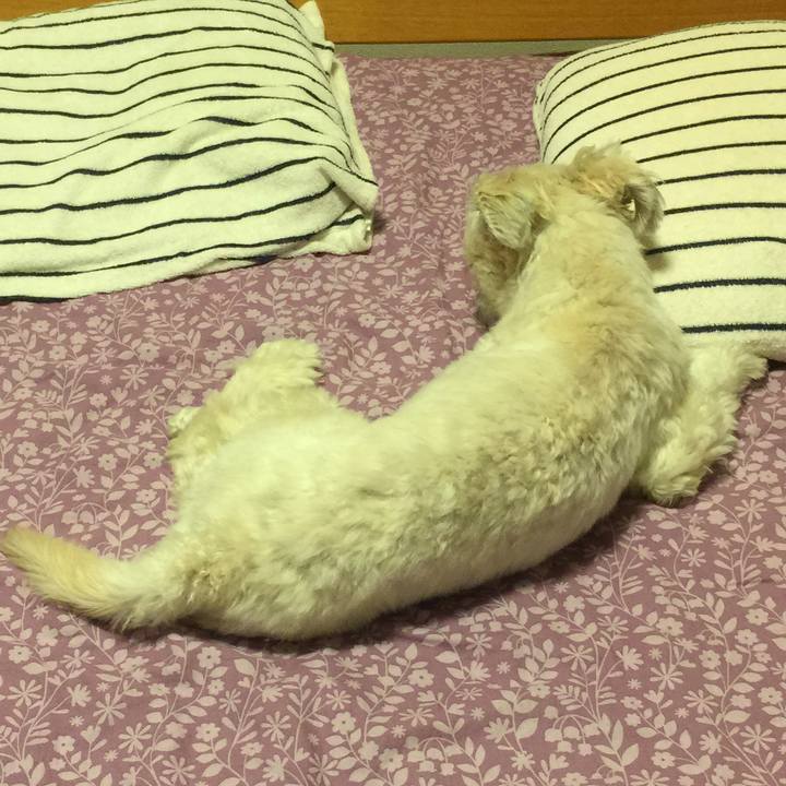 0fe61818 e83c 4542 9eee 1ae06d32e640