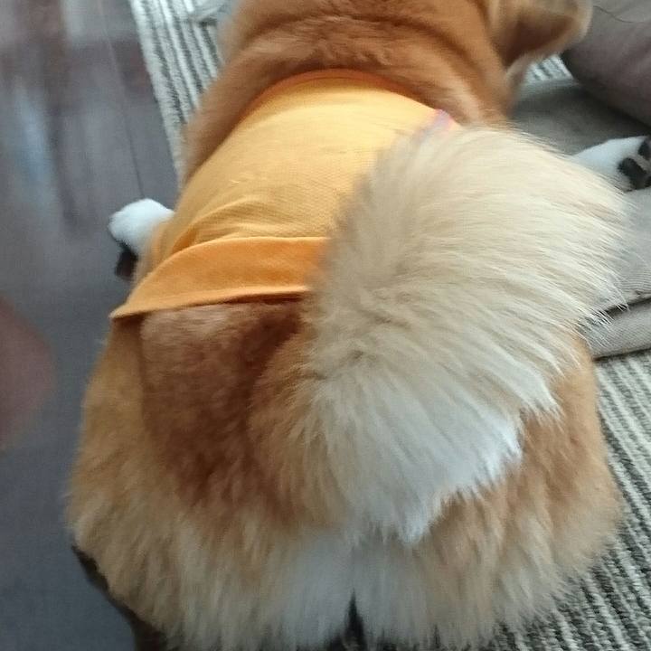 0fe75222 78b9 4416 943c 1079e9c9ced3