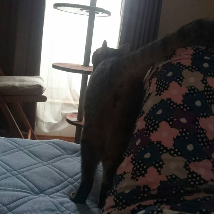 0fe79cbd 2d0f 4acd a75c 6acf701a38ed