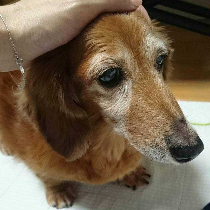 0fe7ba98 4a19 4ded 88ad 49ff20b13420