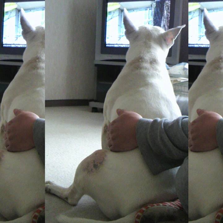 0fe7f8ce 46ff 4d46 a880 76bb926226e7