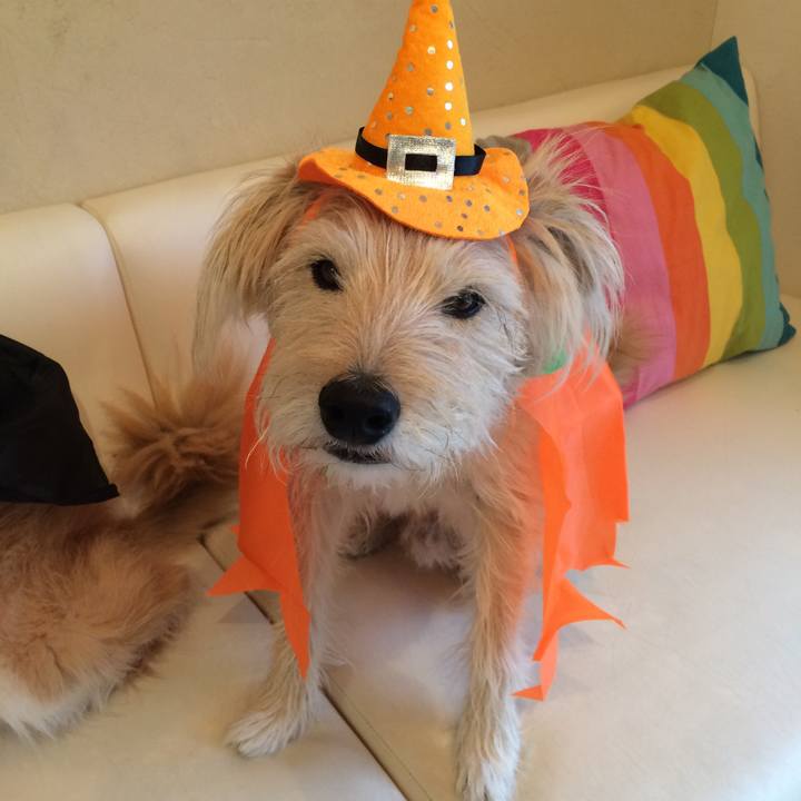 0fe873d8 4699 4ea2 aa2e 9919230f0c8e