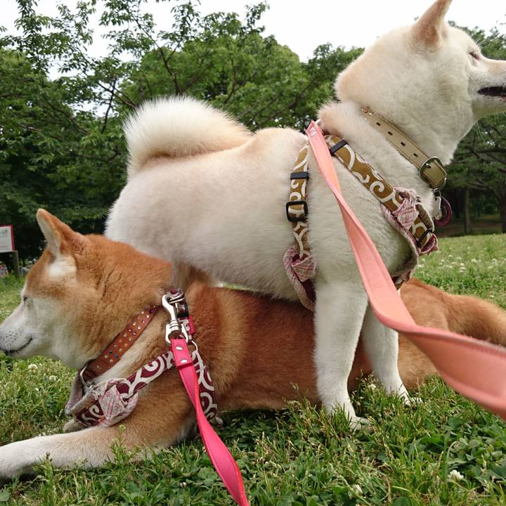 0fe8c3ae 745a 4ce9 8213 cf968e122ca9