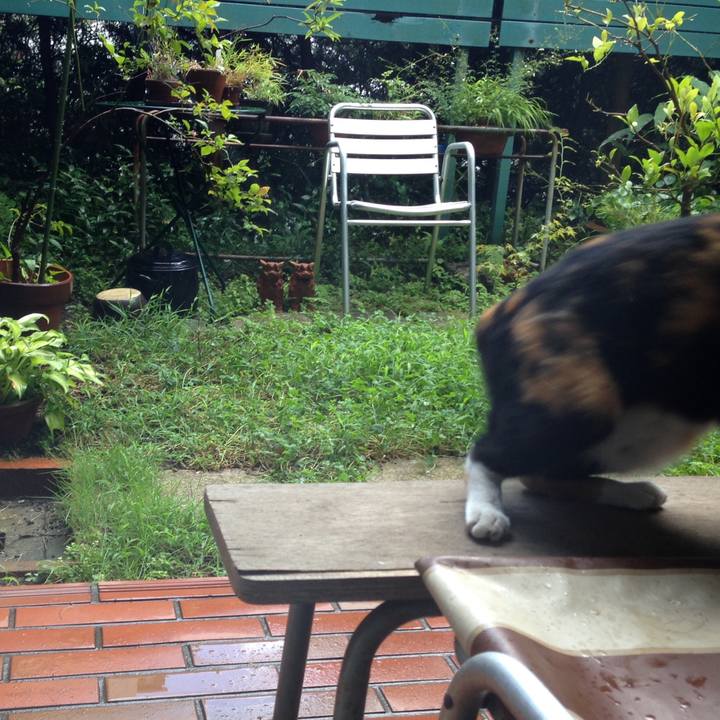 0fe8cd16 82a3 4415 baae 5be55cb1a54d