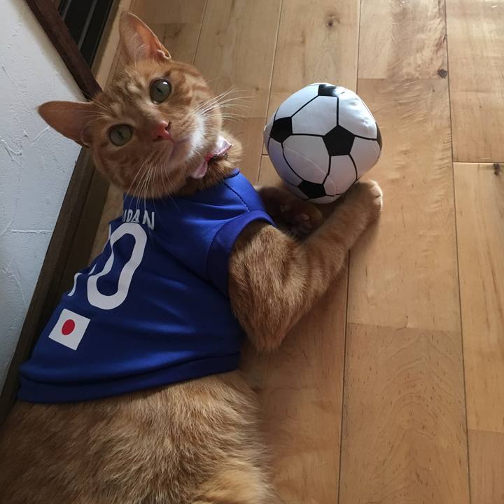 0fe93066 e645 44b7 bf6d d1bfe66ab714