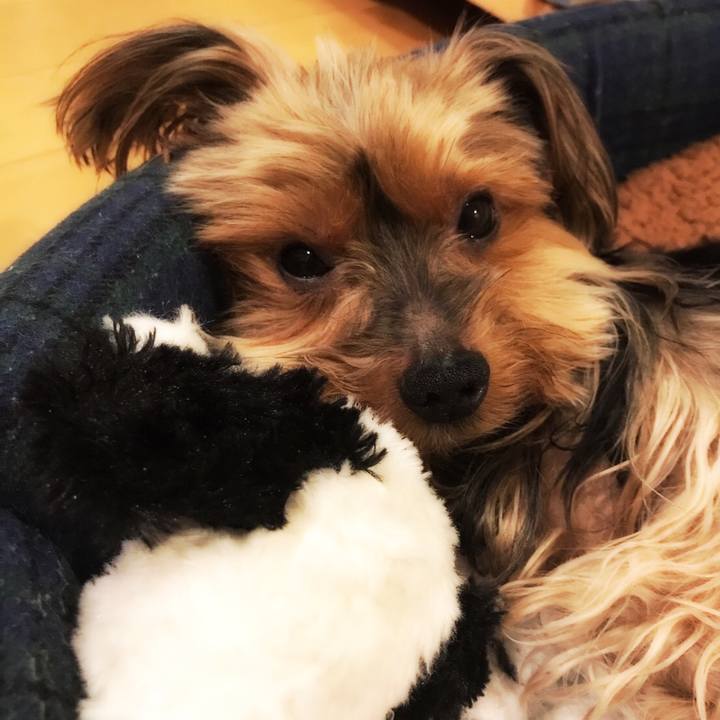 0fe93129 9be9 4377 bf65 0615375e4570