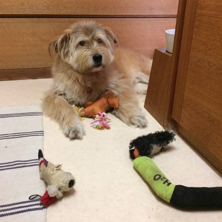 0fe94869 7367 419f a85a ae6d1d4ce3b1