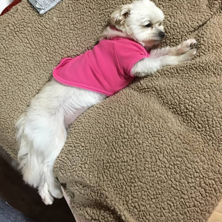 0fe94e0f 55ed 4247 a3ad c9f8bf69d6ad