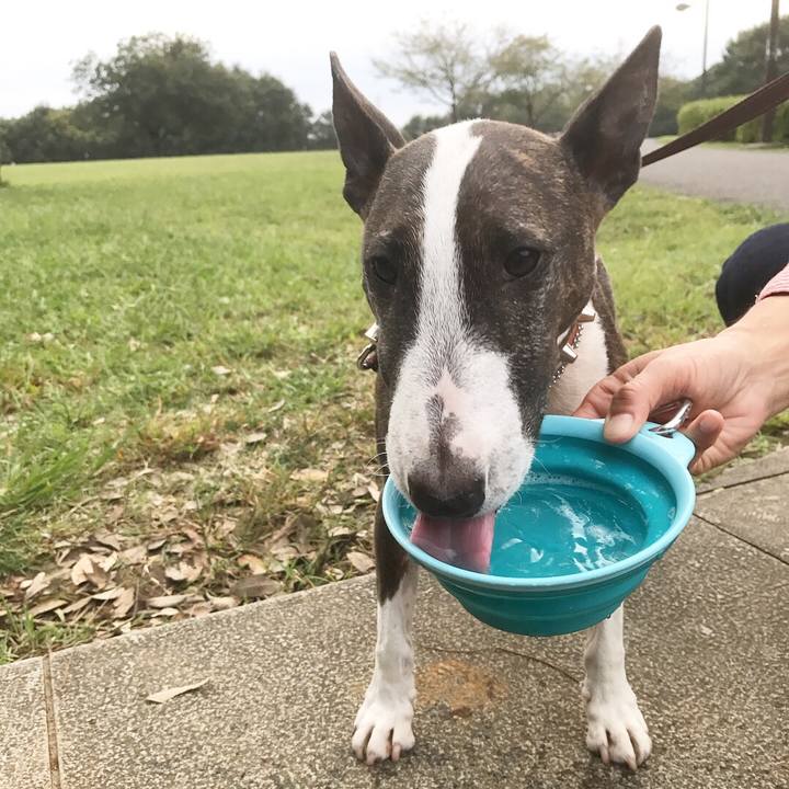 0fe95696 b48e 4a3a a4e8 313eafcb6fbf