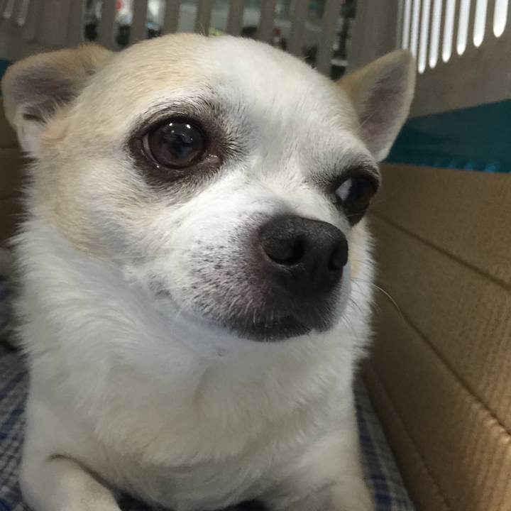 0fe96b29 4d94 469c 961a 9f454d8512ae