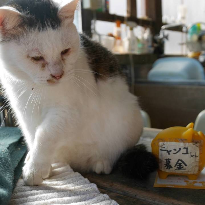 0fe9757a 1883 4f26 a646 4d88a958a321