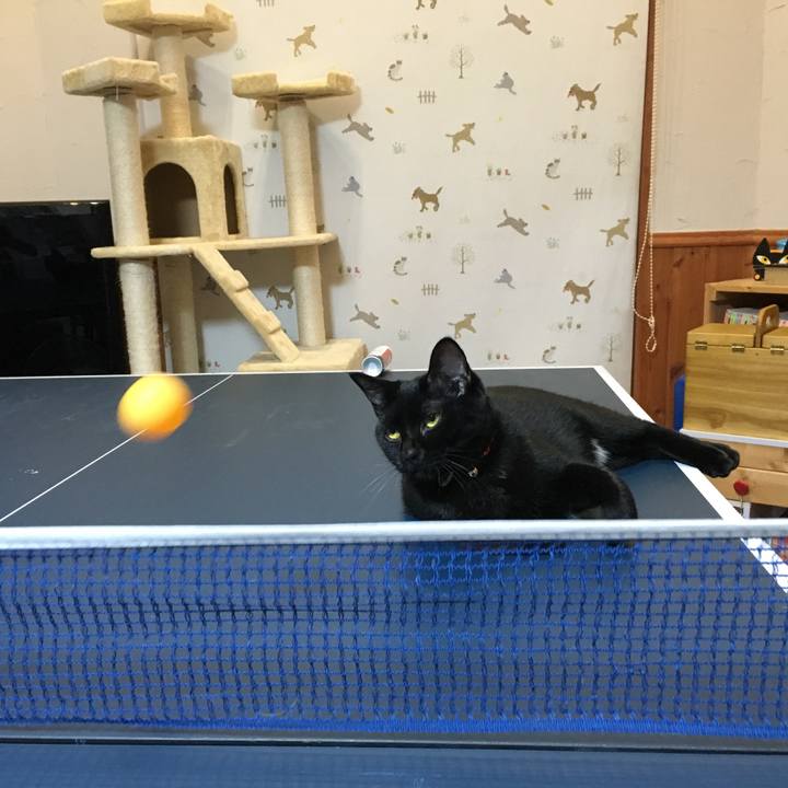 0fe97cbd 67a7 4c0c a1ac a63bc536f7bf