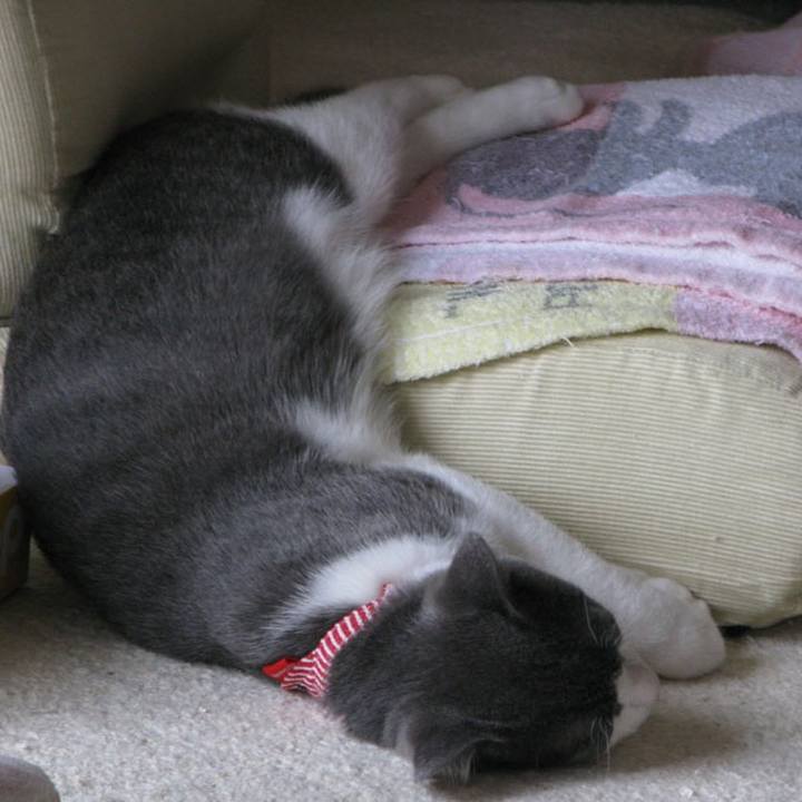 0fea1b07 5499 4424 ad06 dbe3d106efd9