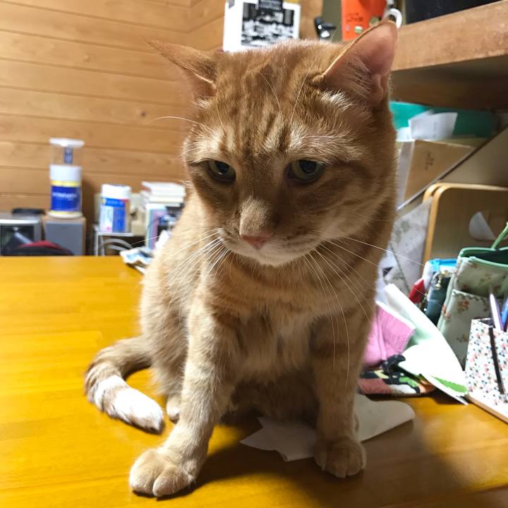 0fea1c0d 1d2f 46fd b89d b538e306e7eb