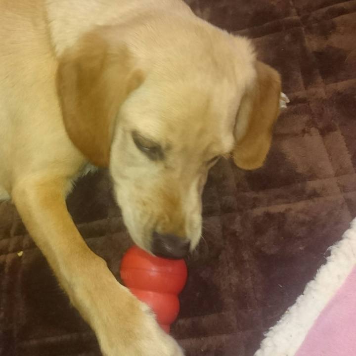 0fea4ad0 657d 4e1f aeb3 c24f1bea977d