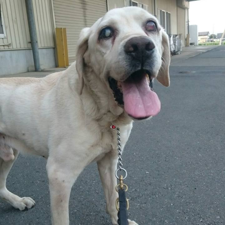 0feafd6a 1810 49f8 b193 fc223e65e350