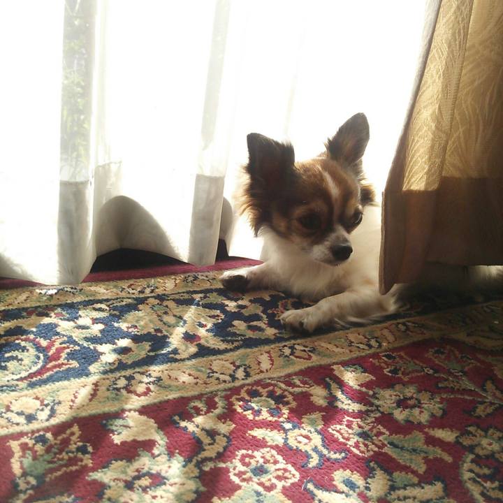 0febdee0 f346 4ea7 acce e2959695c05a