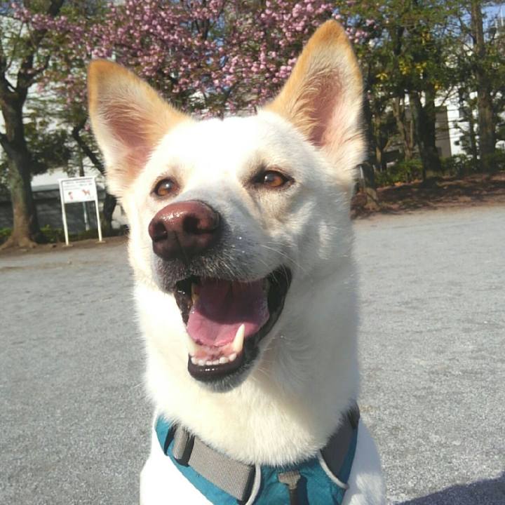 0febfd3c a8a4 40a5 88d2 efa1cbff098e