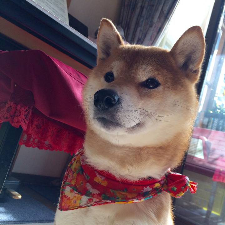 0fec4e0d b383 4a53 9911 d923c96f3c68