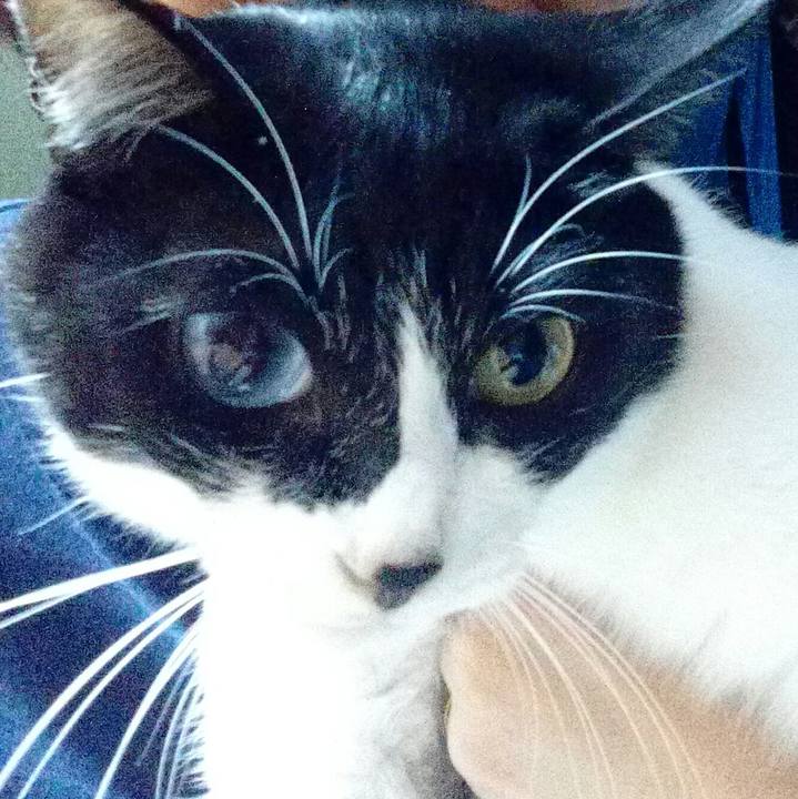 0fec7108 430b 469e a44d c487c7ec11e3