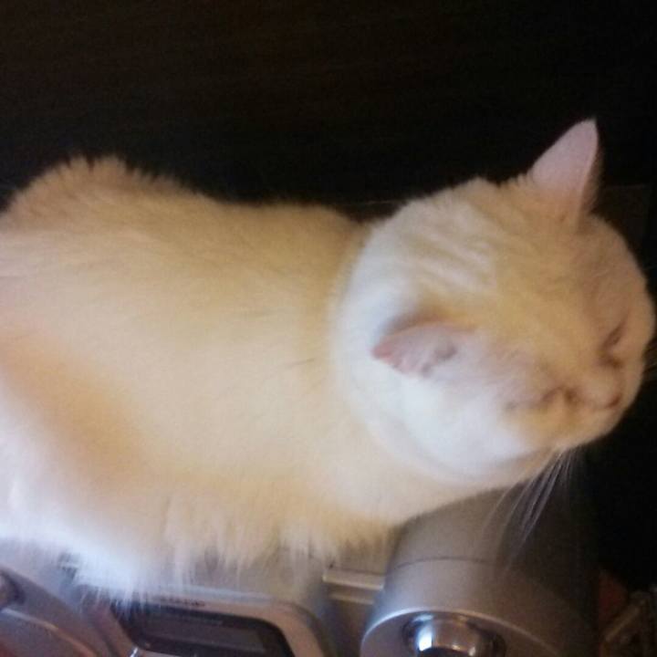 0fecbb28 0153 449e a307 45c557cc0459