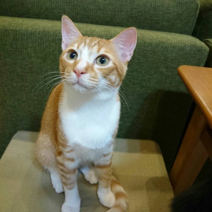 0fecbfc2 83a6 48ed a926 f0b19b6e5576