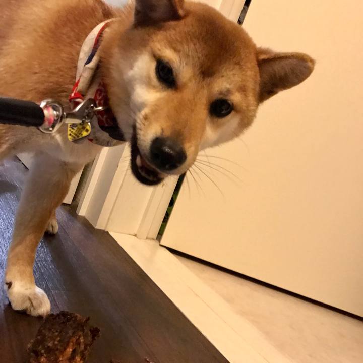 0fed0326 c1aa 4319 b6f3 b3cf37c57e5d