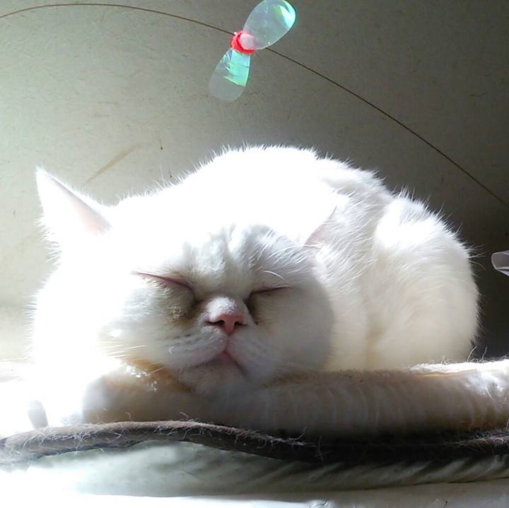 0fed074e cbf2 40ae 9fbe dc93f5be1b0e